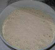 live sourdough starter 2006 