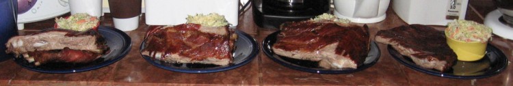 rib service 2010