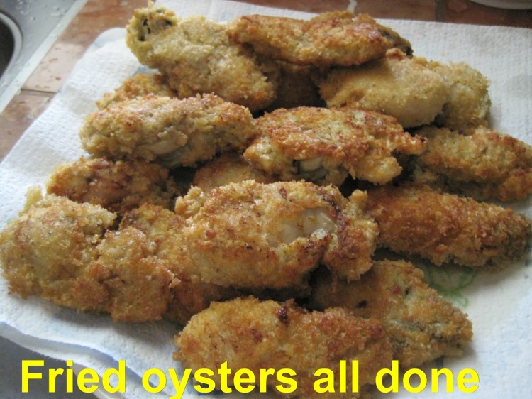Plate of fried oysters to be used for po'boys