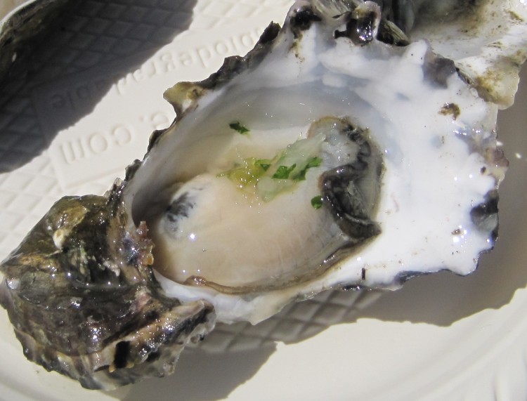 drakes bay oyster with open shell