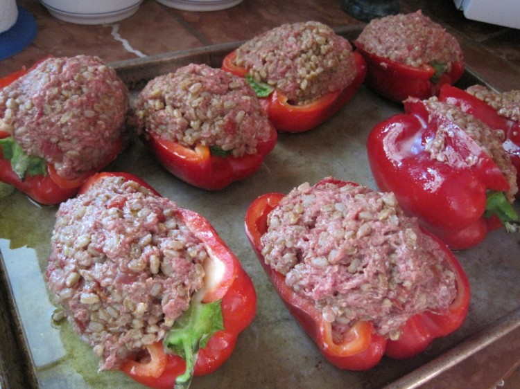 Stuffed peppers ready for the oven