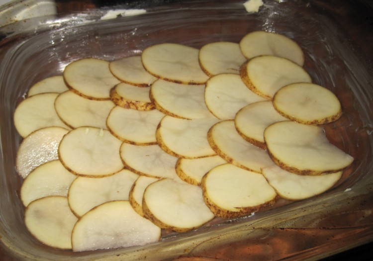 Layer of shingled potatoes for gratin