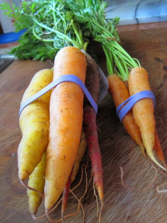 Rainbow carrots from my CSA box